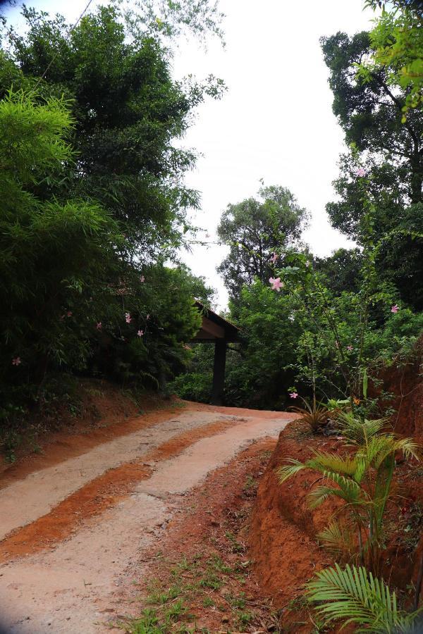 Coorg Nature Breeze Home Stay Madikeri Zewnętrze zdjęcie