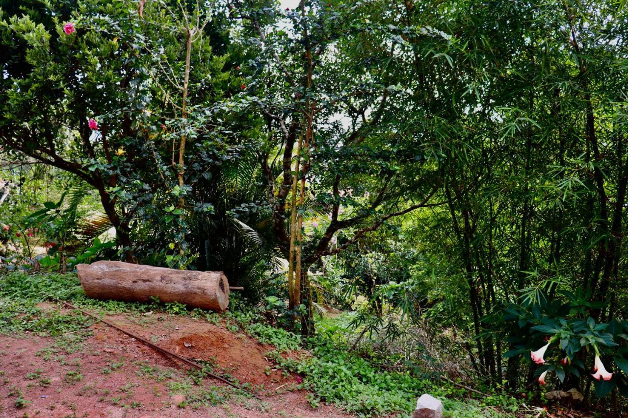 Coorg Nature Breeze Home Stay Madikeri Zewnętrze zdjęcie